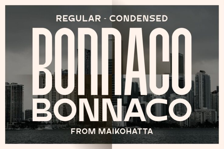 View Information about Bonnaco Classic Font
