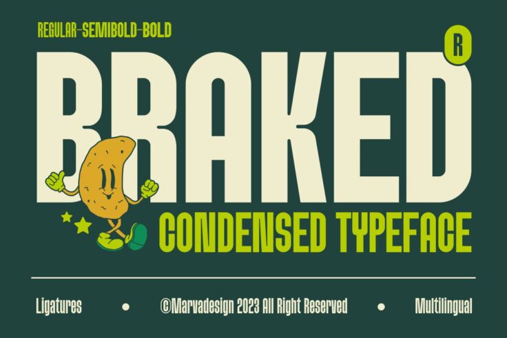 View Information about Braked Font Family