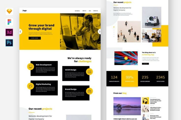 View Information about Digital Agency Website Template for Sketch