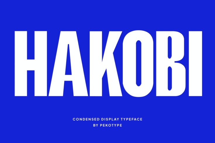 View Information about Hakobi Condensed Sans Font