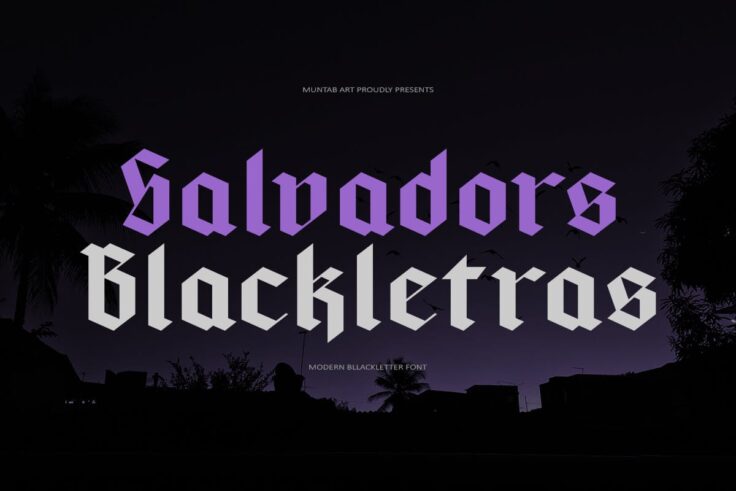 View Information about Salvadors Font