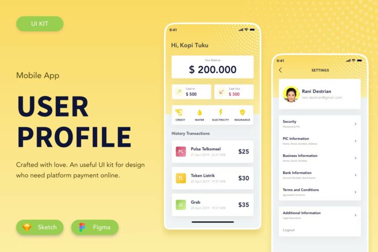 View Information about Finance User Profile Sketch Template