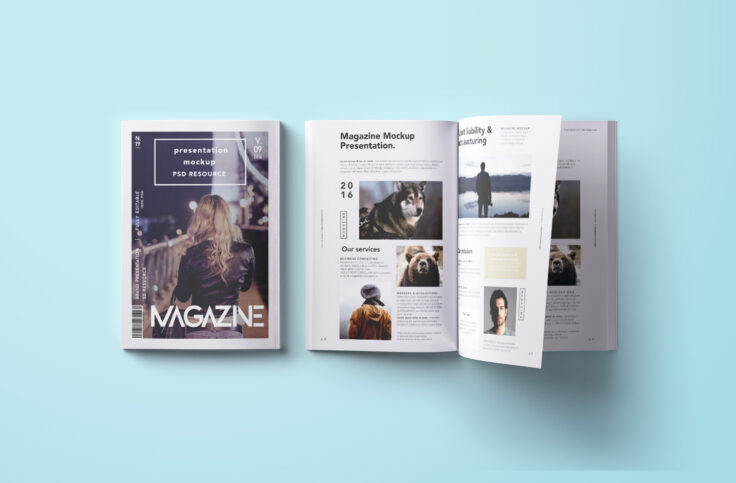 View Information about Top-Down Magazine Mockup PSD