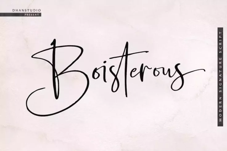 View Information about Boisterous Font