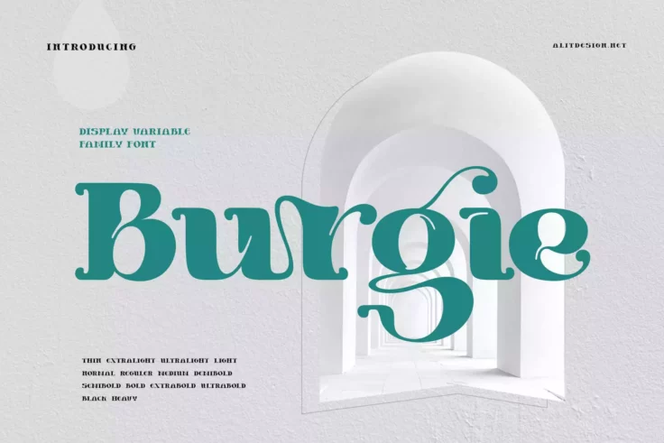 View Information about Burgie Font