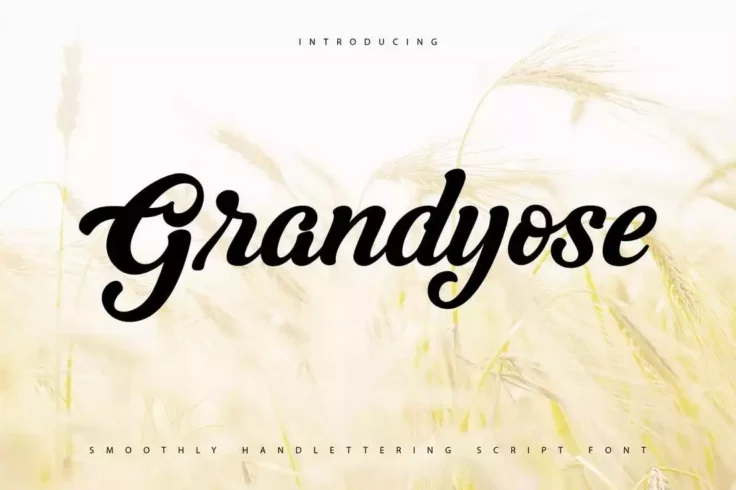 View Information about Grandyose Font