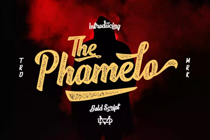View Information about Phamelo Grunge Script Font
