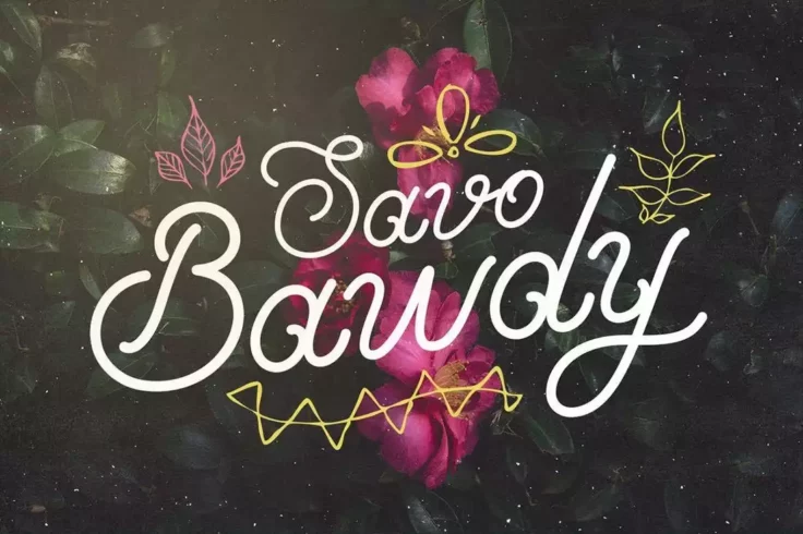 View Information about Savo Bawdy Typeface